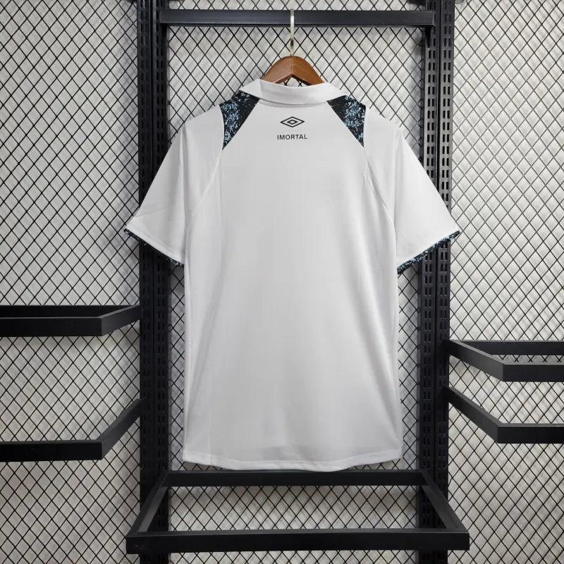 GRÊMIO FORA 24/25